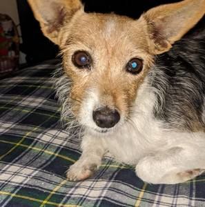 Meet your Posher, Beverly